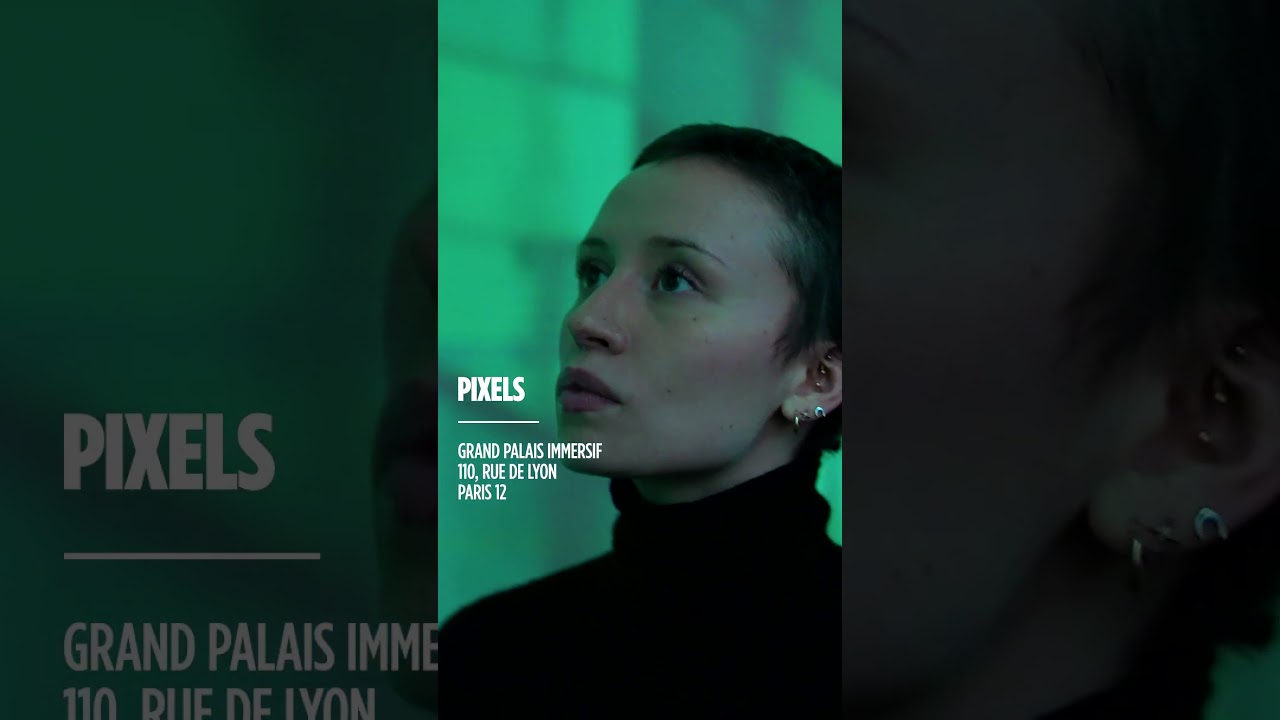 Pixels, Grand Palais immersif