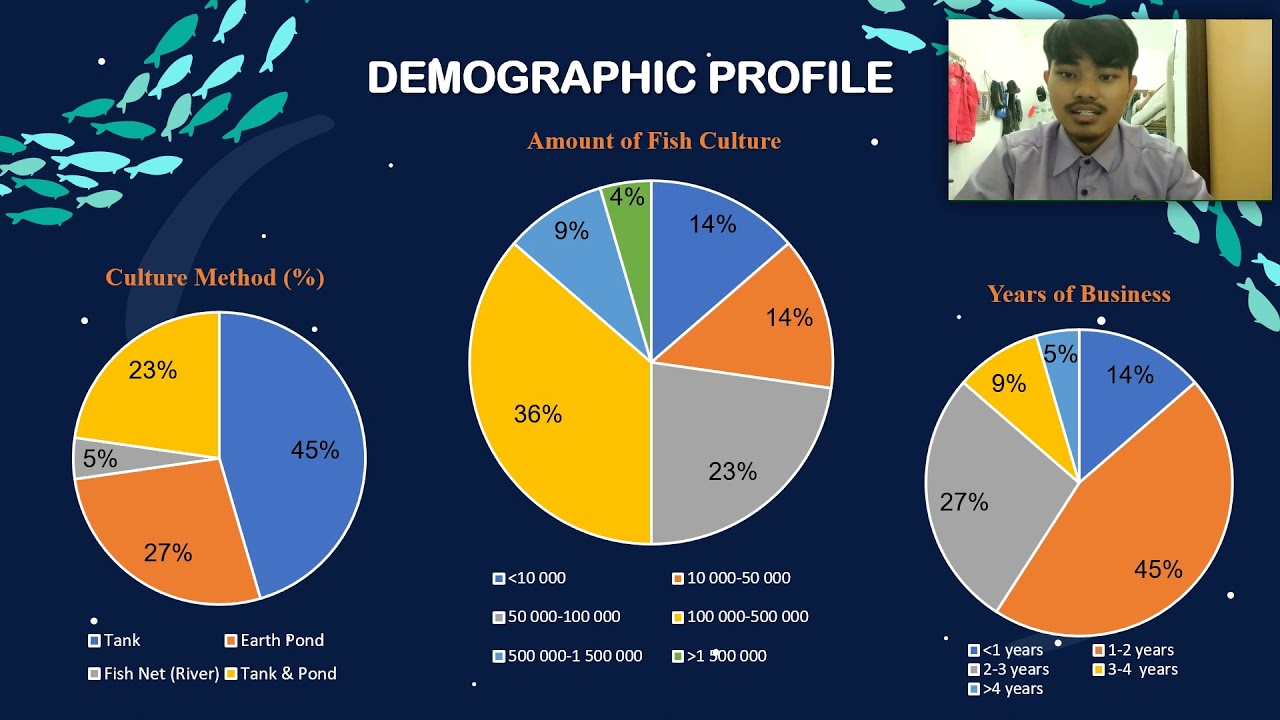 PITA PRESENTATION NABIL S55181 VIDEO