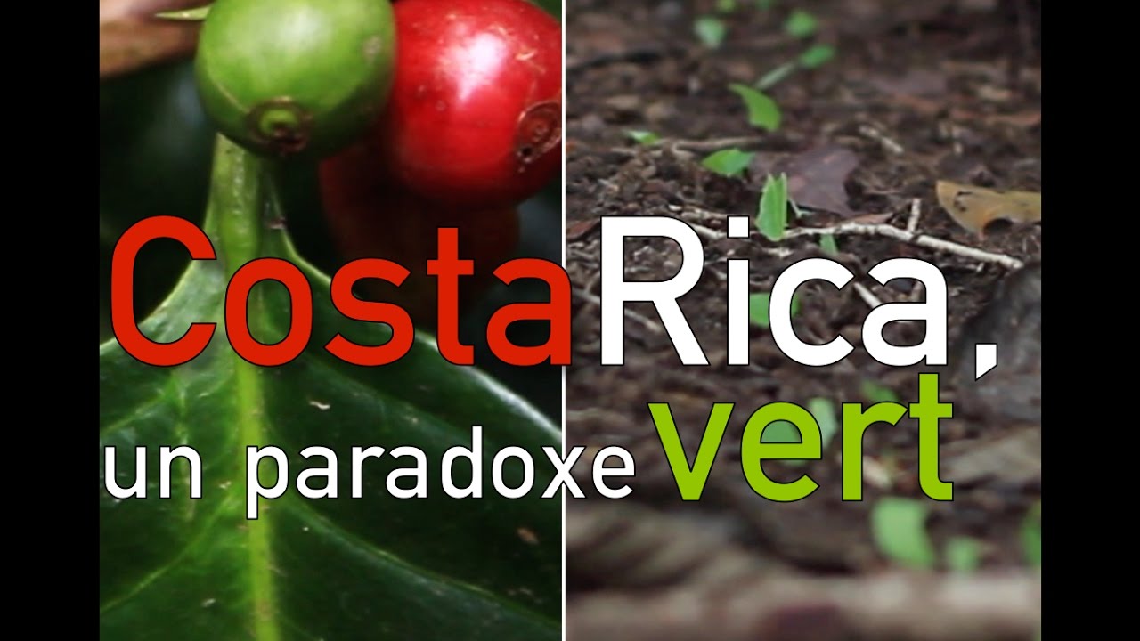 Costa Rica, un paradoxe vert