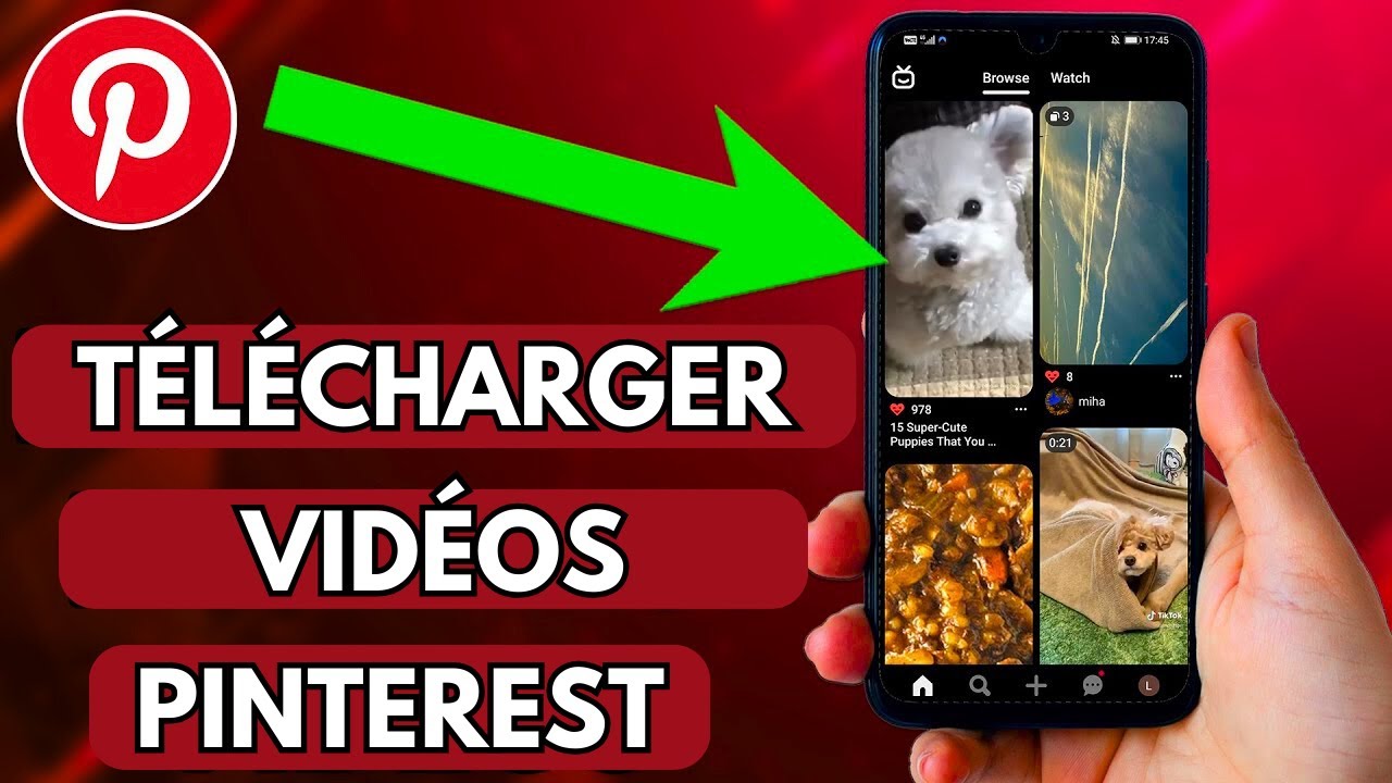 Comment TÉLÉCHARGER Des VIDÉOS Sur Pinterest (Gratuitement et Rapidement)