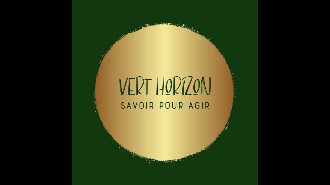 Impact écologique de l’intelligence artificielle (IA)