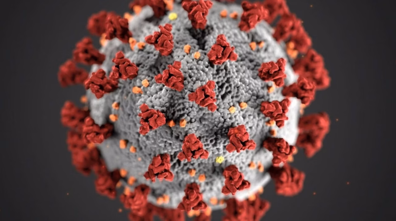 Des IA de Stanford développent des virus innovants pour combattre les bactéries résistantes